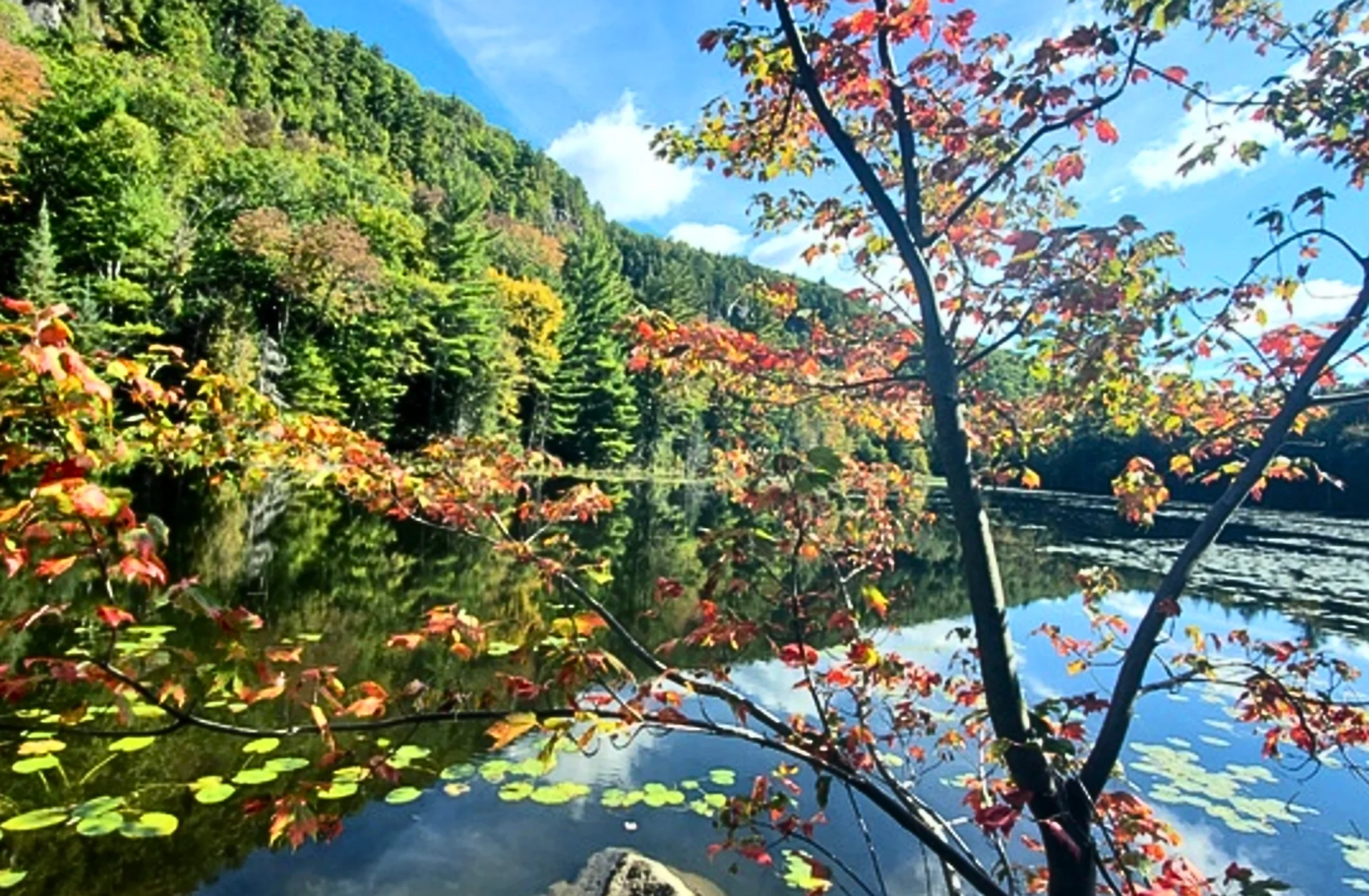 Une première étape vers l’automne