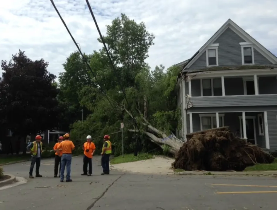 CBC: Outages and damage caused by post-tropical storm Arthur in 2014 remain New Brunswick's most severe. The last customer was reconnected 14 days after first losing power. (Catherine Harrop/CBC)