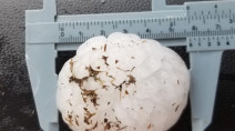 Success of Northern Tornadoes Project spins off new hail counterpart