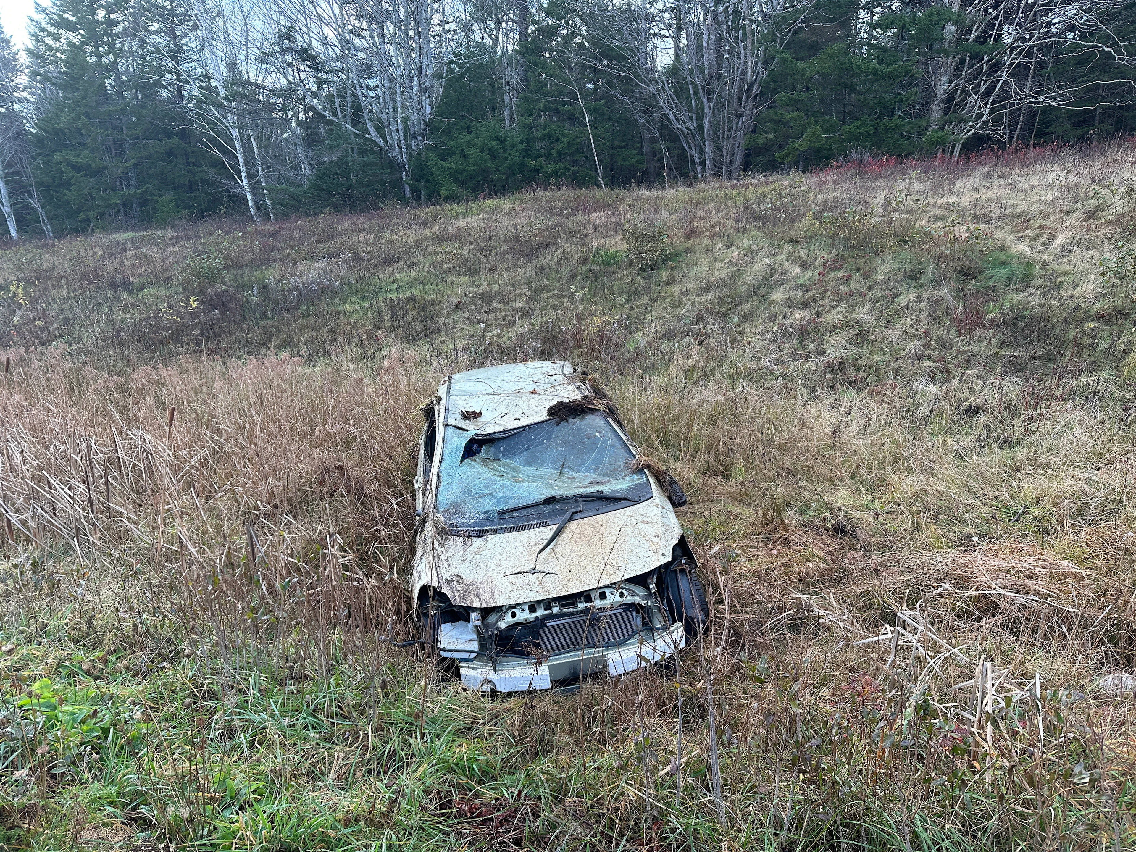 Cailin O'Neil - submitted: The general rule is to avoid braking on black ice