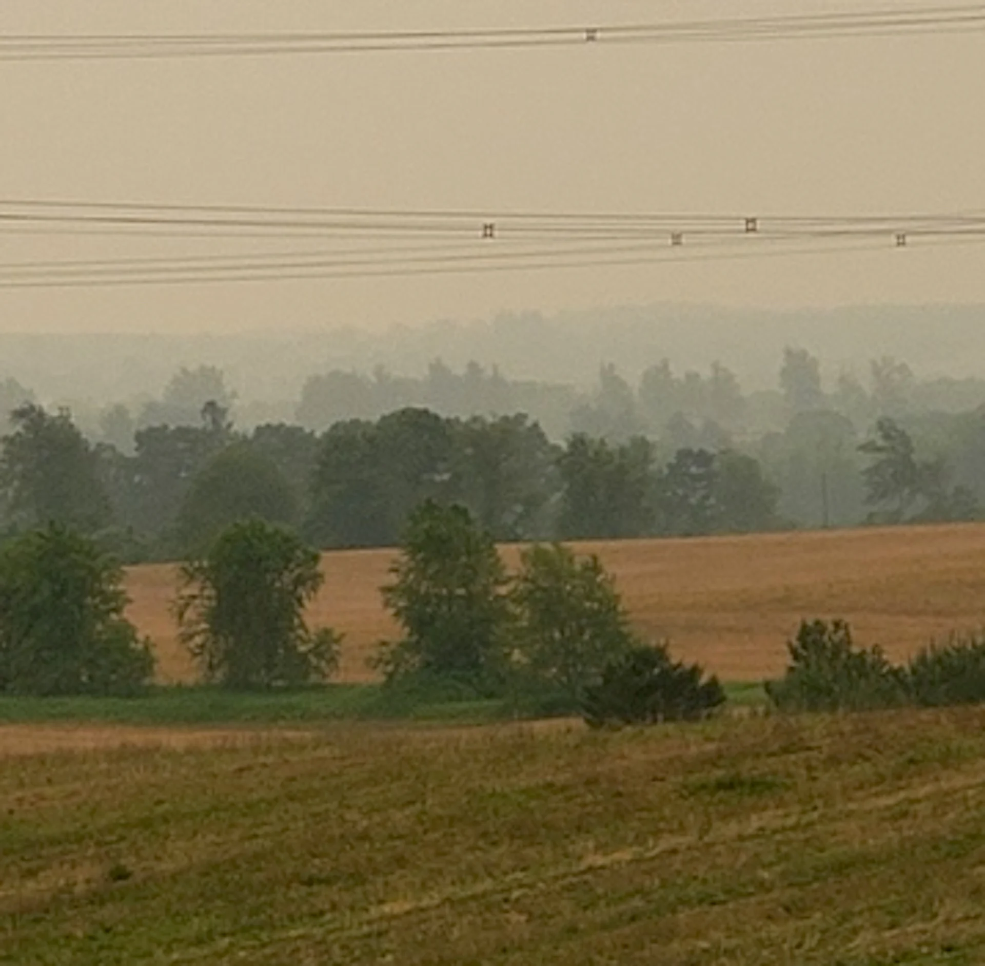 Fumée : la qualité de l'air est devenue médiocre dans ces secteurs