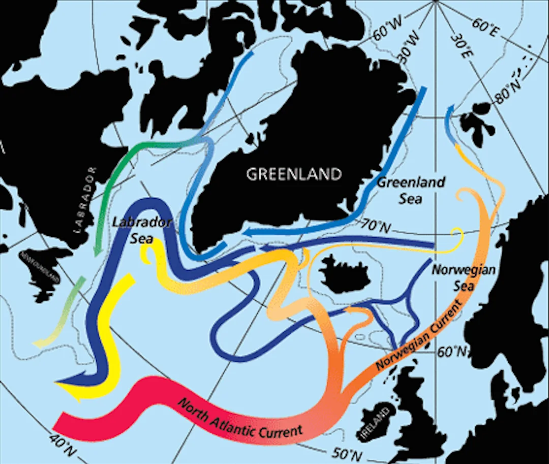 How weather helped shape a global green holiday The Weather Network