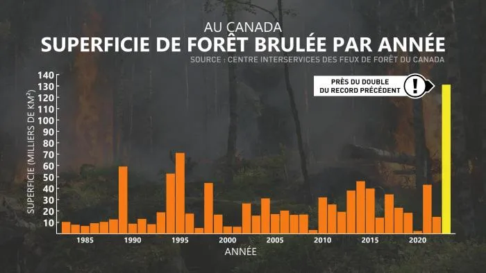 FUMÉE4 CANADA