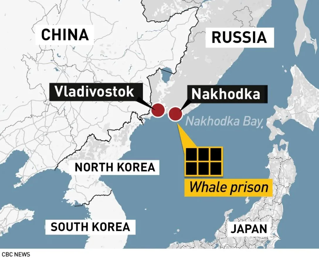 Whale jail map CBC