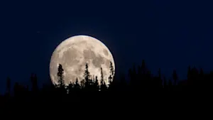 Full Buck Moon Lisa ODriscoll Deer Lake NL June-30-2024 37536400