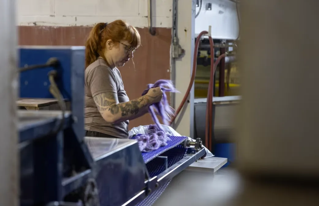 CBC: An employee of Taproot Fibre Lab prepares wool for processing. By creating an additional use for wool in wool pellets, Taproot hopes to incentivize production of wool that's also suitable for spinning. (Rob Short/CBC)