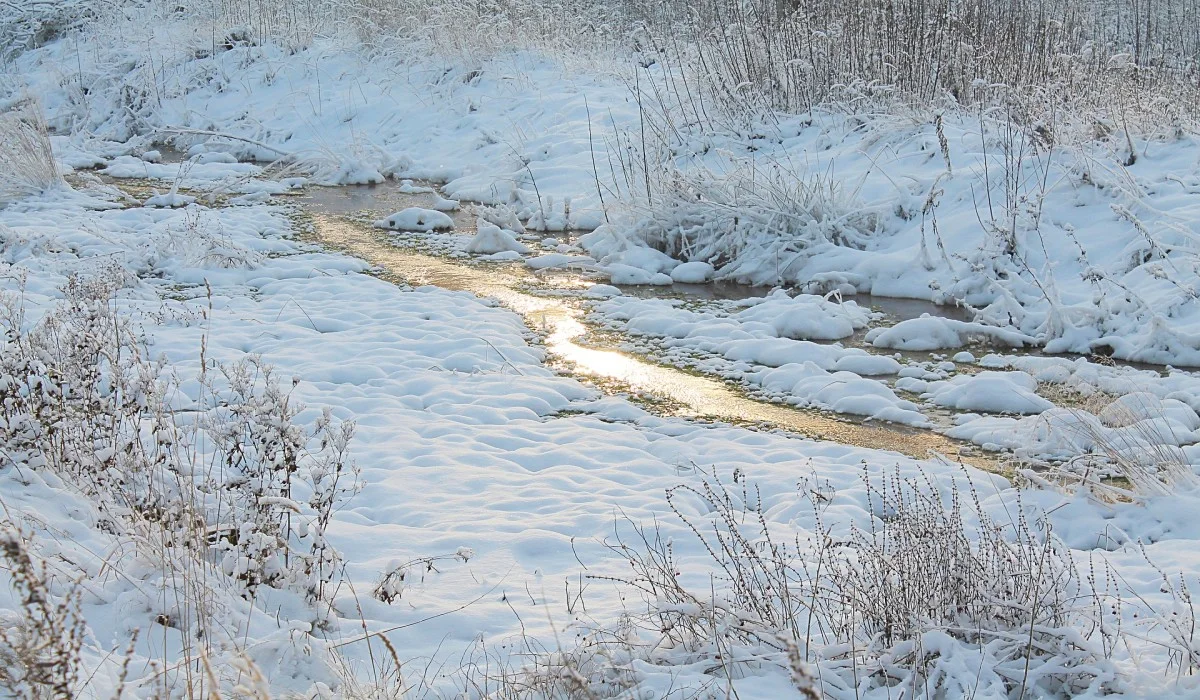 Un drôle d’hiver avec des airs de déjà vu 