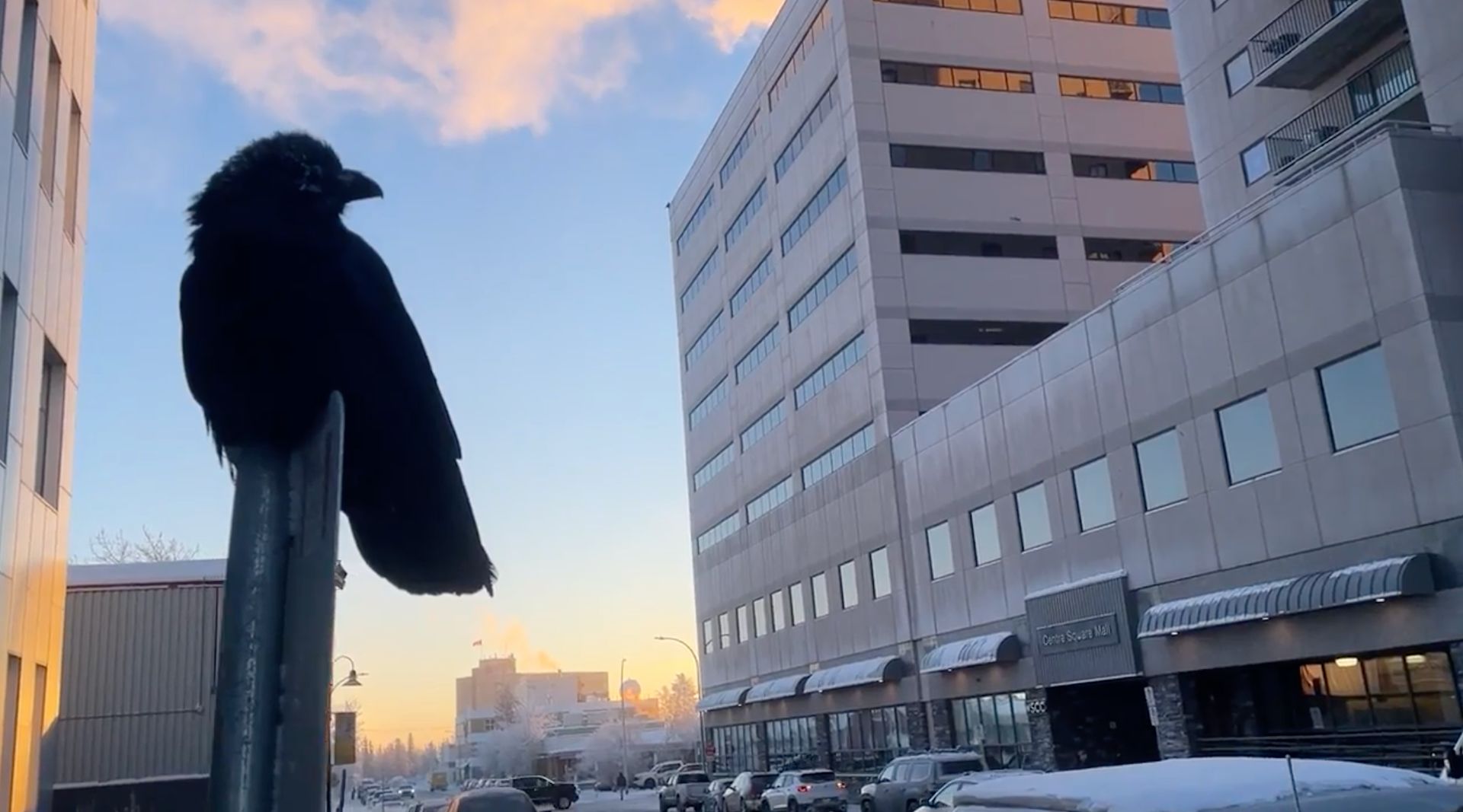 Canada’s North is warming from the ground up, and our infrastructure isn’t ready
