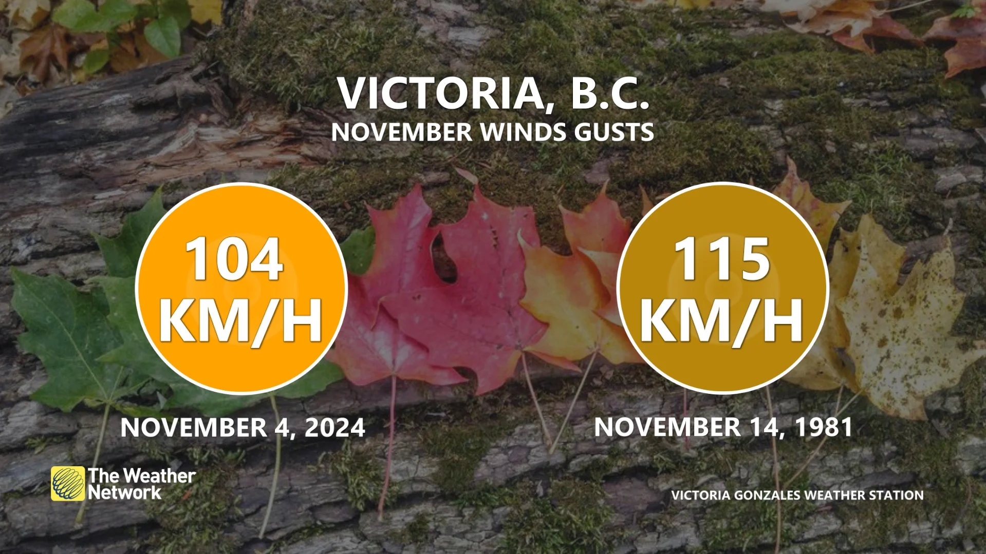 Victoria, B.C. wind gust Monday afternoon_Nov. 3