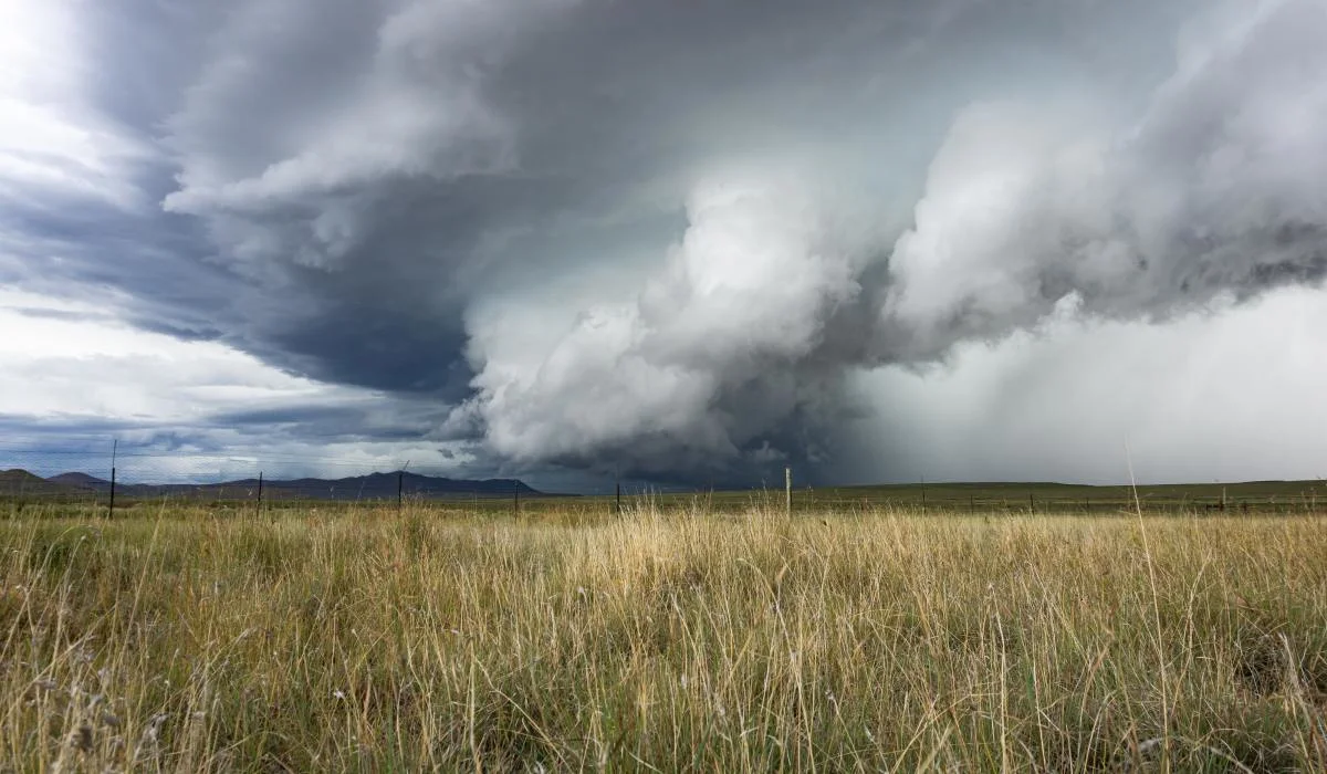 Floride : des tornades causent des dégâts matériels