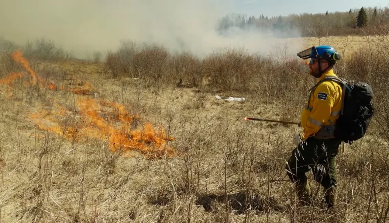 A Parks Canada firefighter watches as a patch of grass burns /Parks Canada via CBC