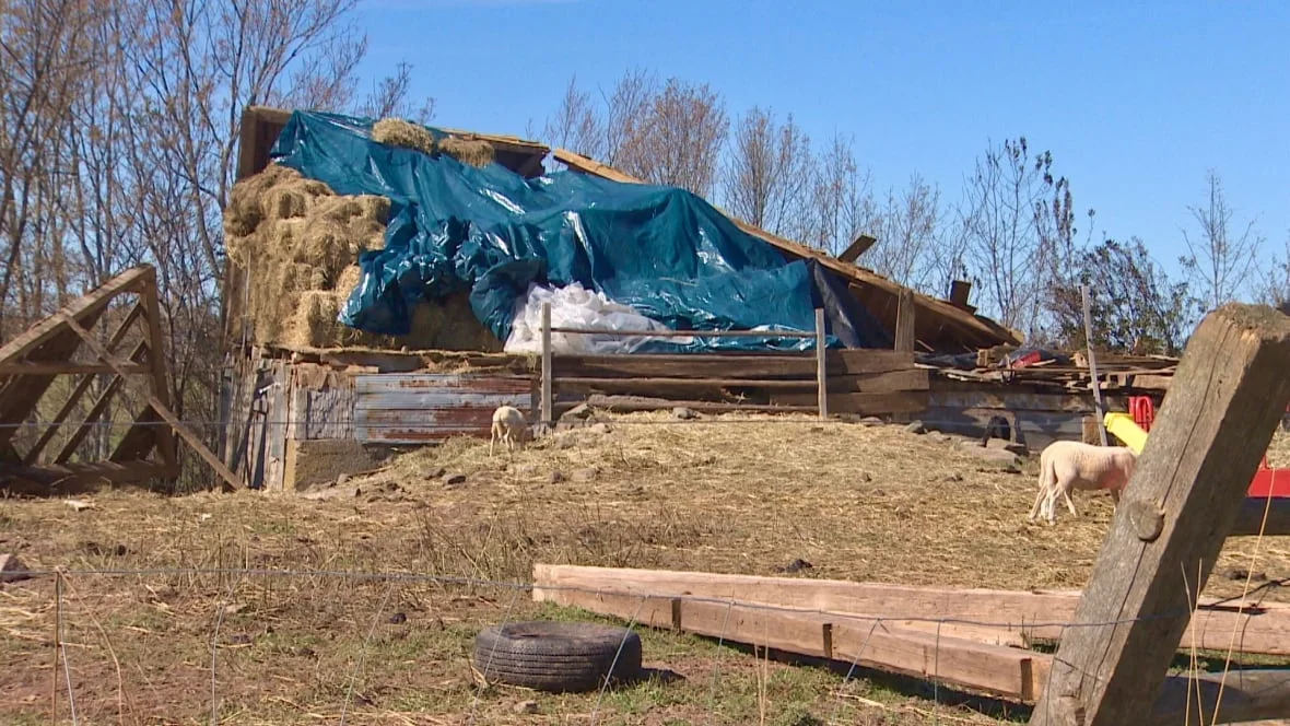 (CBC) fiona damage nova scotia 2