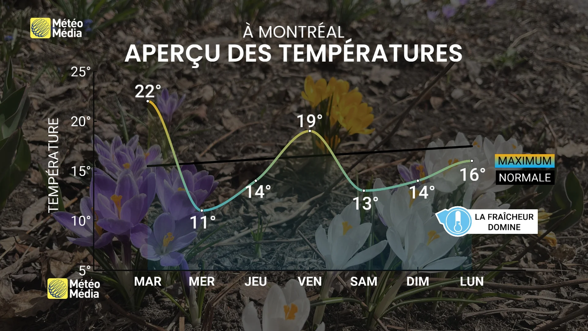 TEMP4