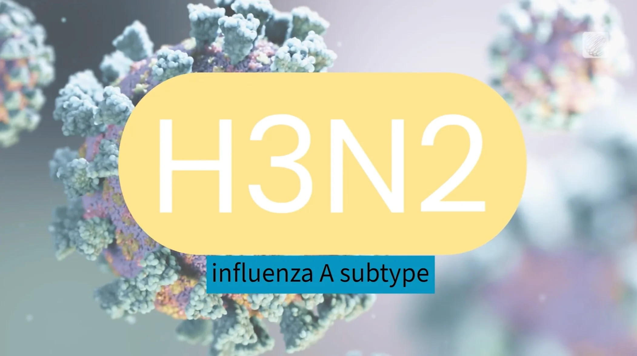 TWN: H3N2 is influenza A subtype