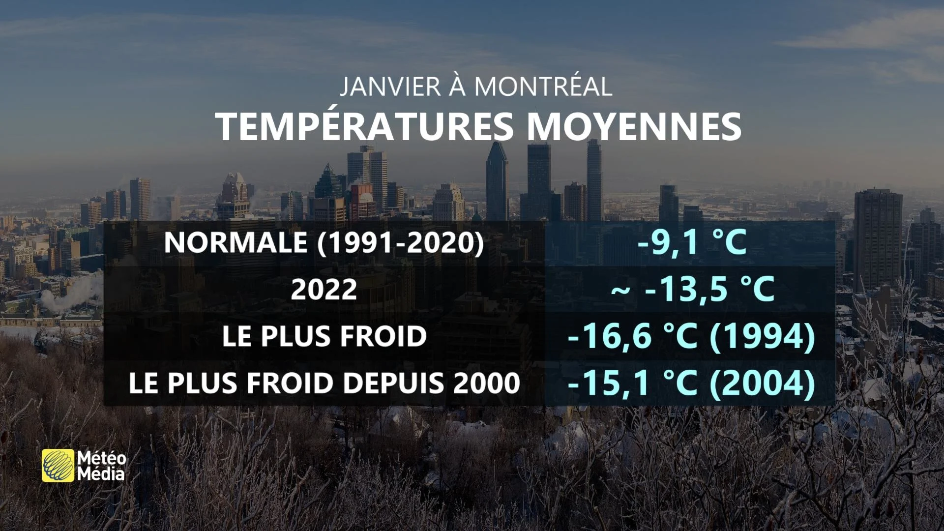 janvier froid 4