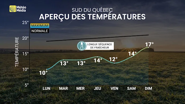 TEMP2 (2)