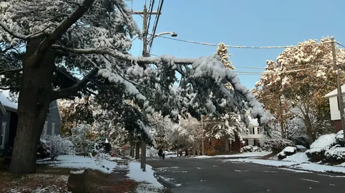 First snowfall leaves thousands without power in Moncton area The