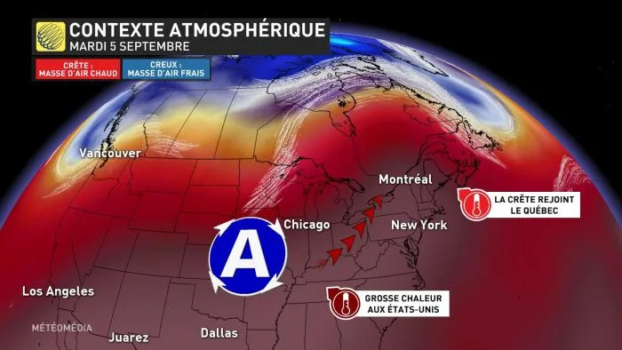 CANICULE1