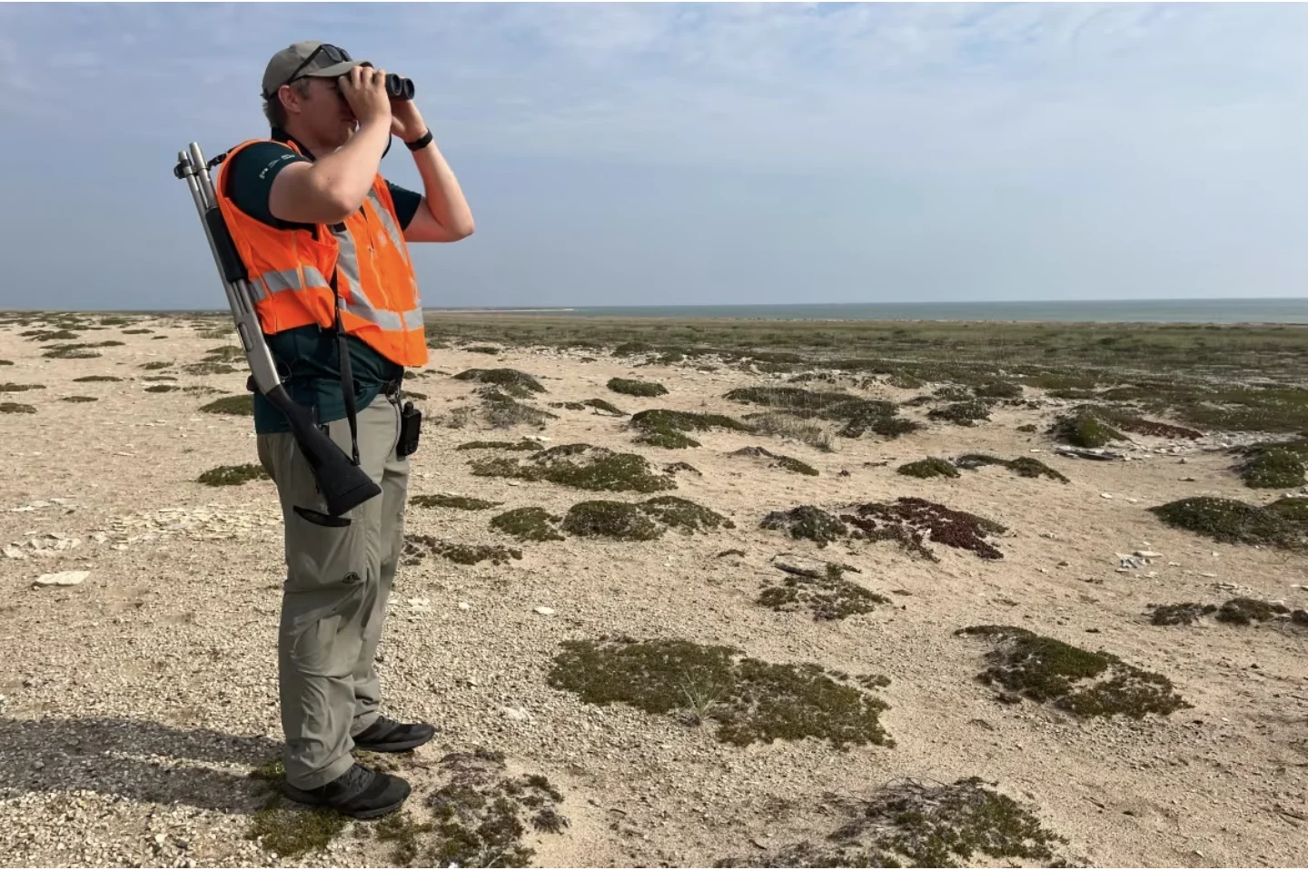 CBC: Parks Canada ecosystems scientist Russell Turner scans for polar bears near the Hudson Bay coast within Wapusk National Park. (Bartley Kives/CBC)