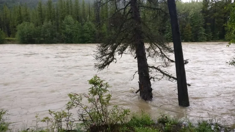 Flood watch issued for Upper Fraser, Chilcotin rivers amid heat wave
