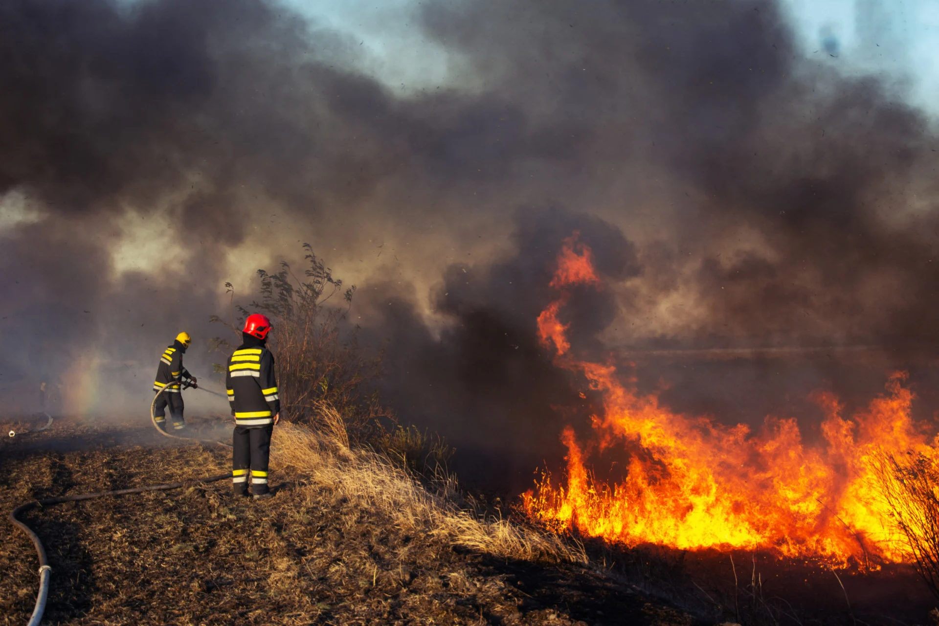 50 per cent increase in catastrophic wildfires possible by 2100, report warns