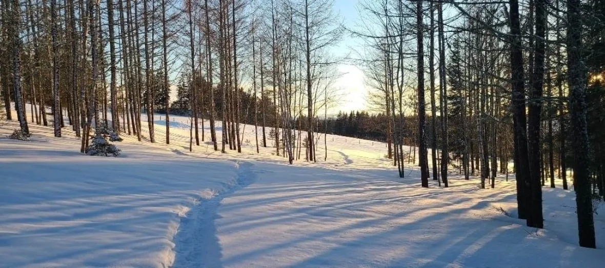 (CBC) long snow covered driveway in PEI