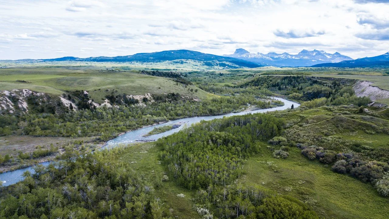 Vital Alberta site gets conservation boost for grasslands, wildlife