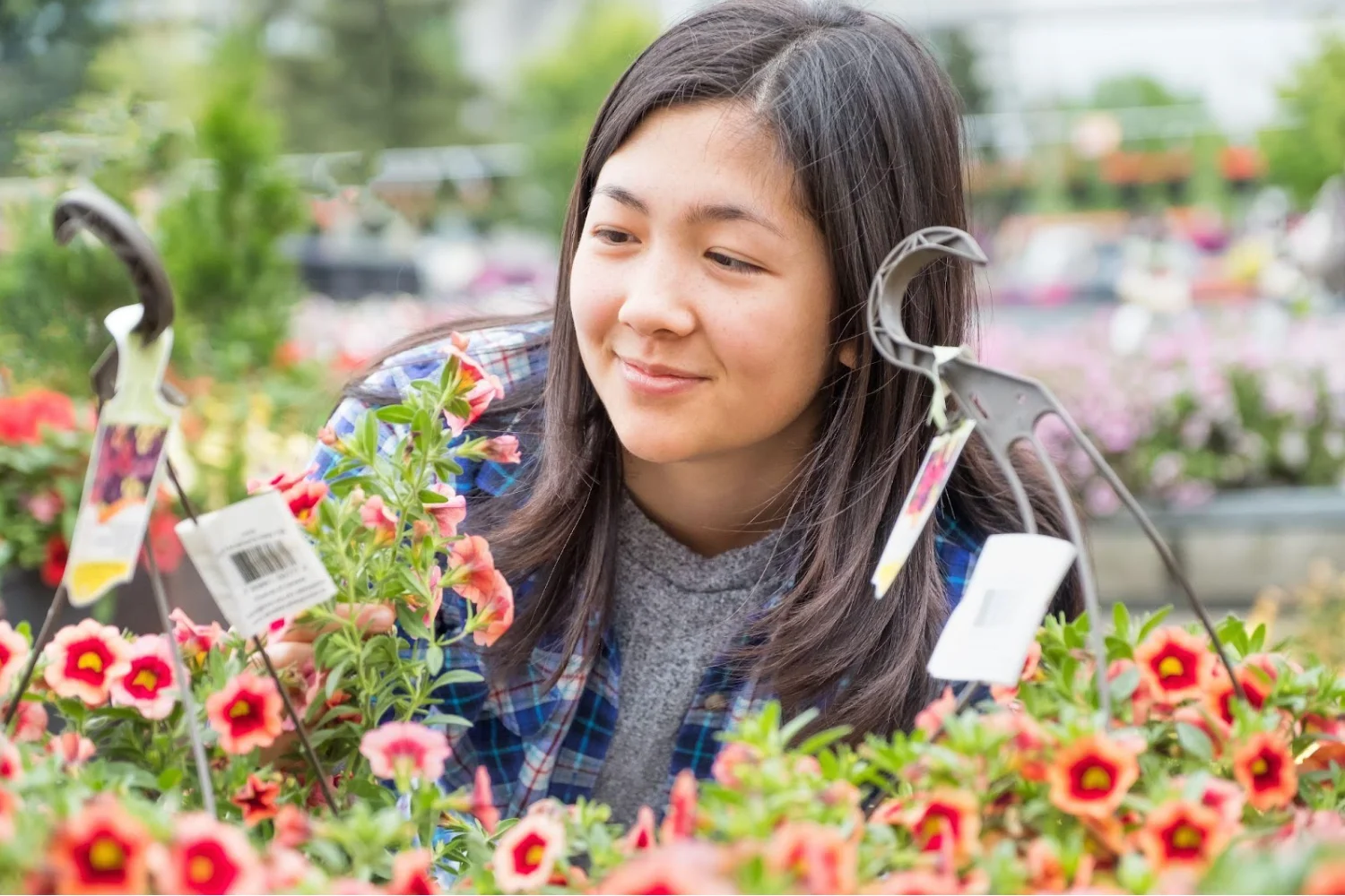 Getty Images: Planting a garden in summer