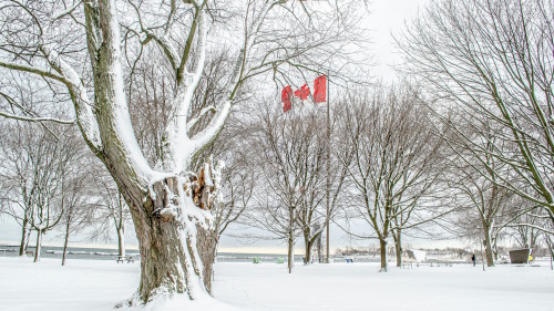 First Major Alpine Snow With 20-30 Cm Targeting B.C., Strong Coastal ...