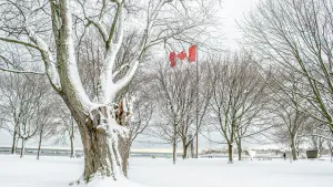 Snowy surprises can blanket Canada during a typical November