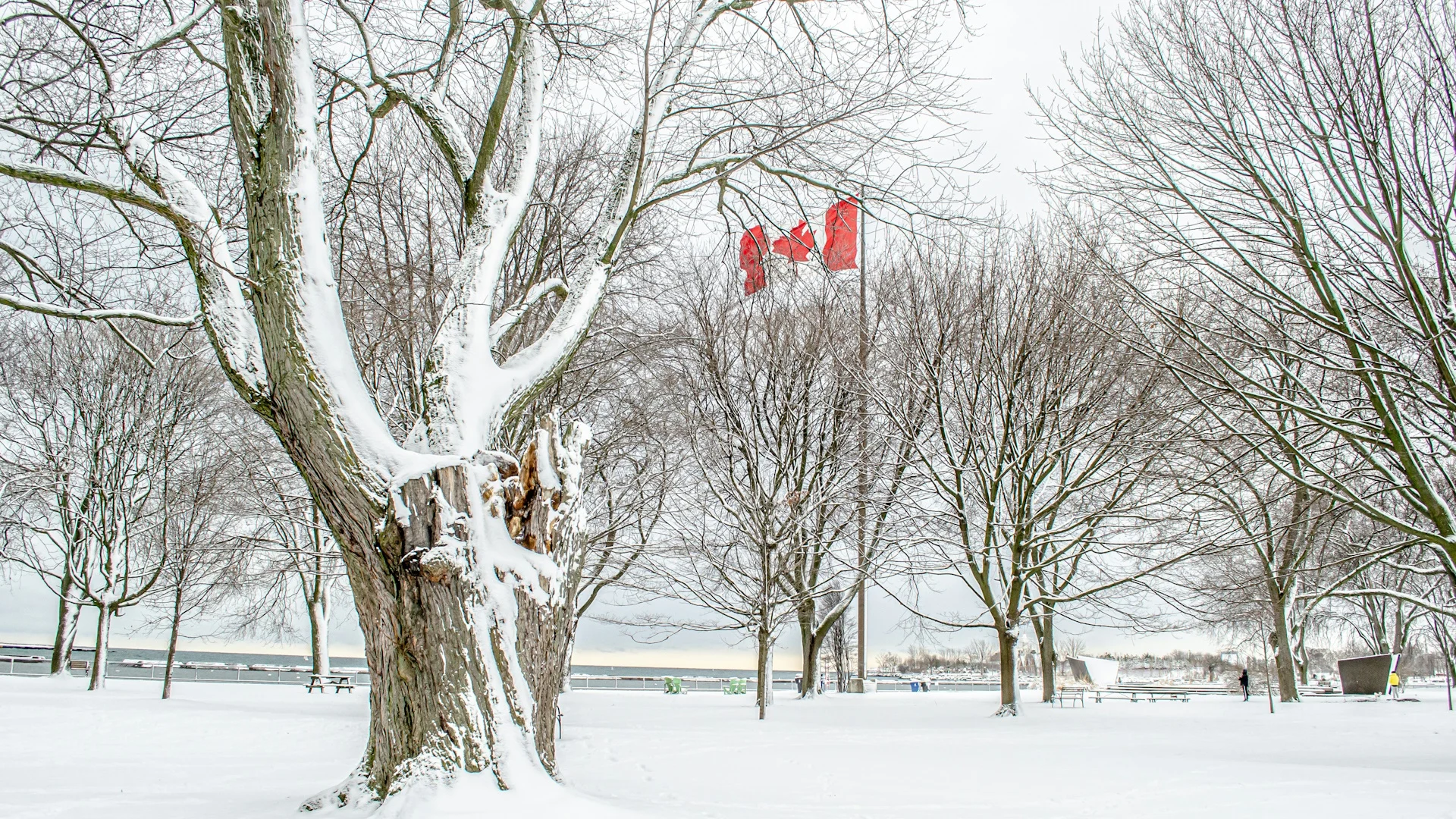 Snowy surprises can blanket Canada during a typical November