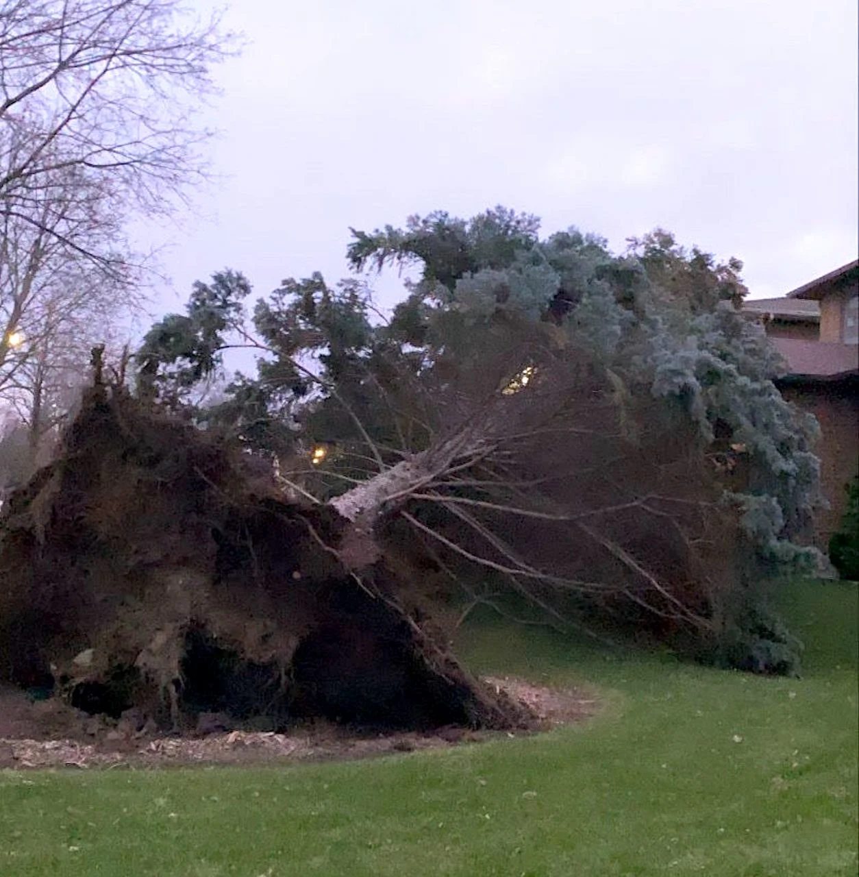 Damaging wind risk spans southern Ontario as snow covers north