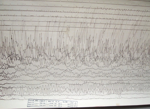 A seismogram