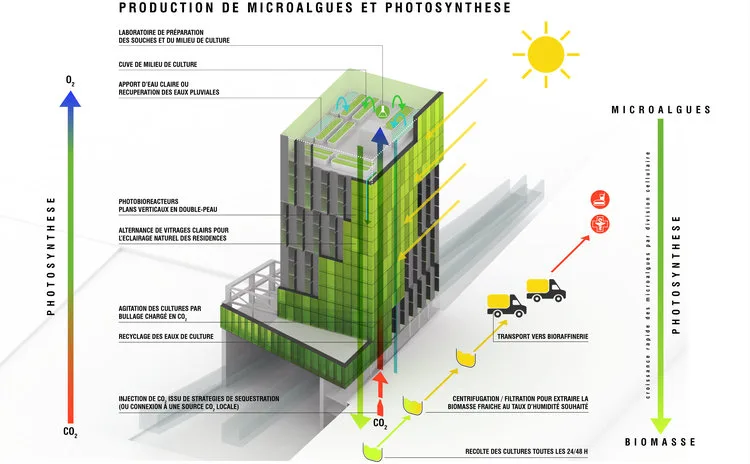 XTU Architectes Plans