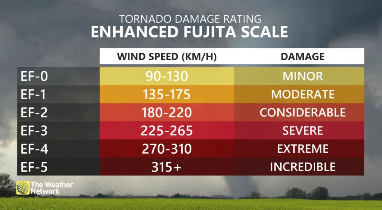 EF scale