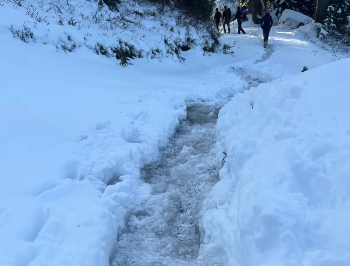 (CBC) snowy hiking path british columbia