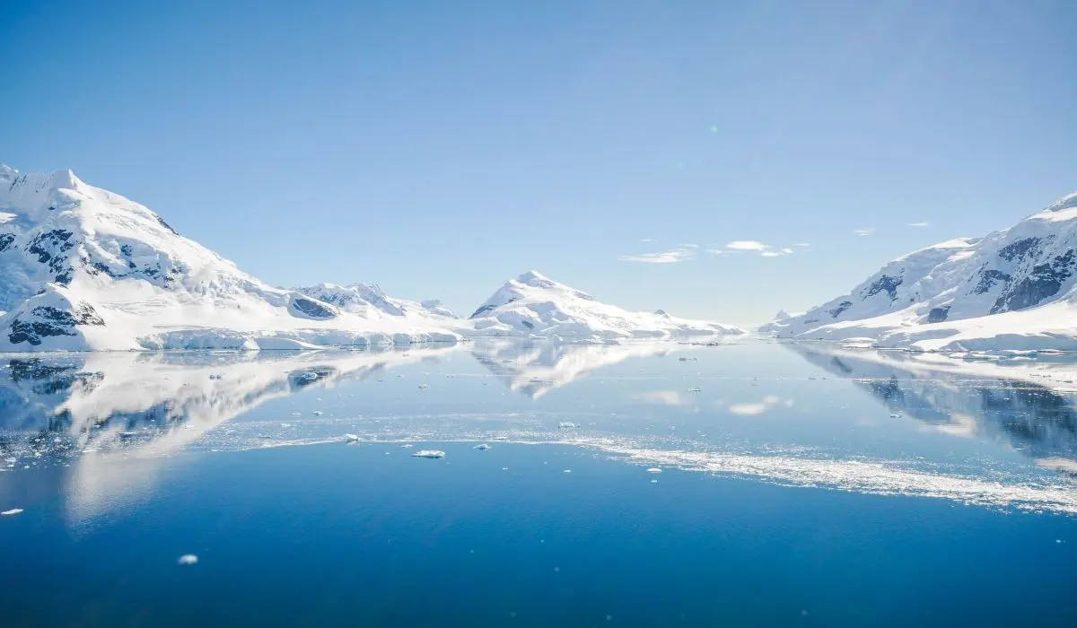 Les premières espèces nuisibles en chemin vers l’Antarctique