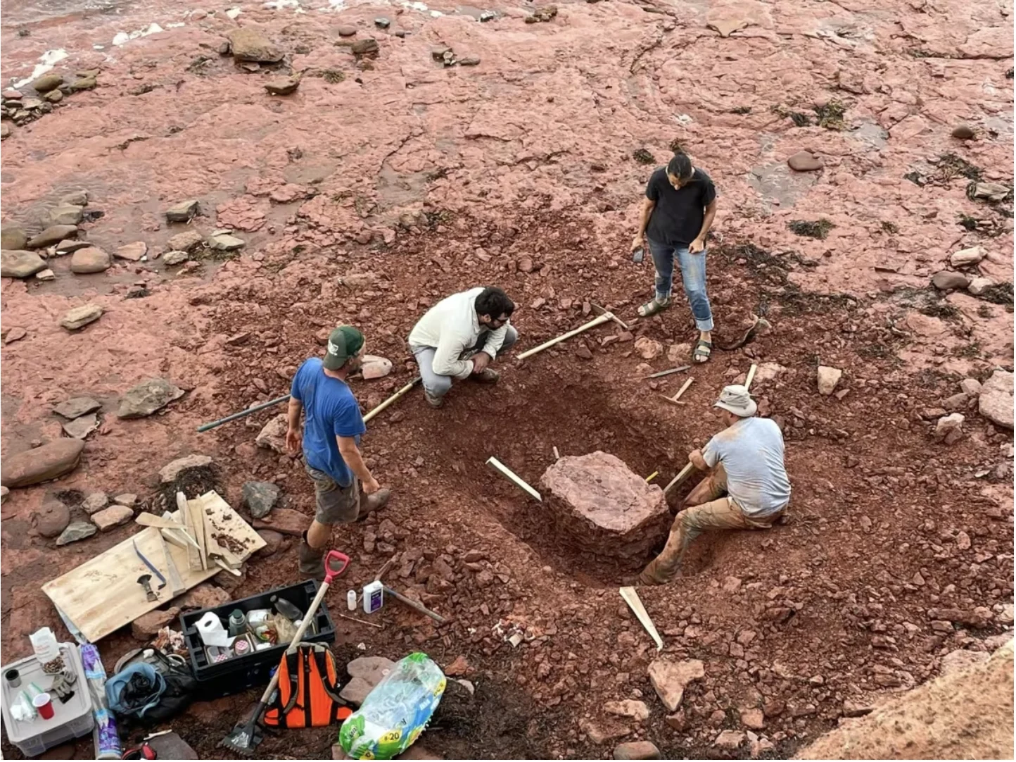 CBC: Another view of the large fossil being extracted at Cap Egmont in the summer of 2022. (Submitted by John Calder)