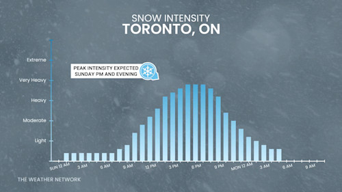 Toronto snowfall rates Sunday