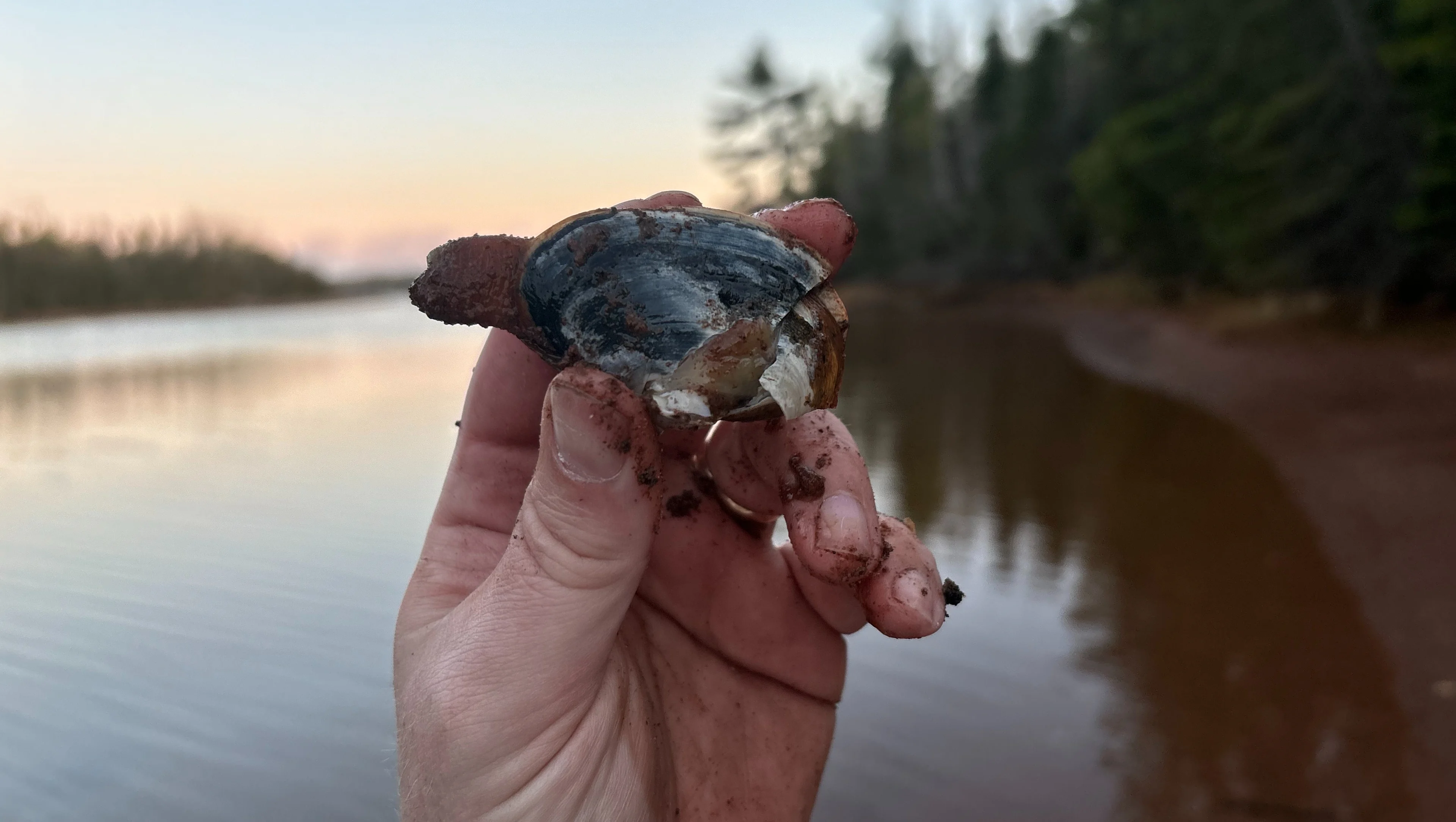 PEI, Clam, Digging, Activity, June 4, 2025. (The Weather Network/Nathan Coleman)