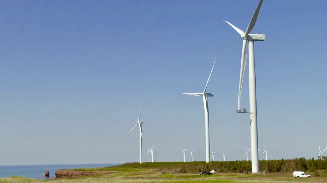 CBC: Experts across North America expect hoary bat populations to decrease by 50 per cent in the next 15 years because of an exponential increase in wind turbines, according to Darrian Washinger. (Pat Martel/CBC)