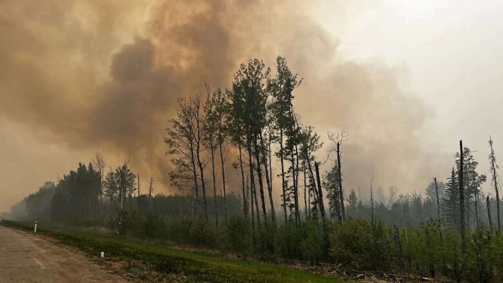 Smoke offers some relief for Alberta firefighters in wildfire battle