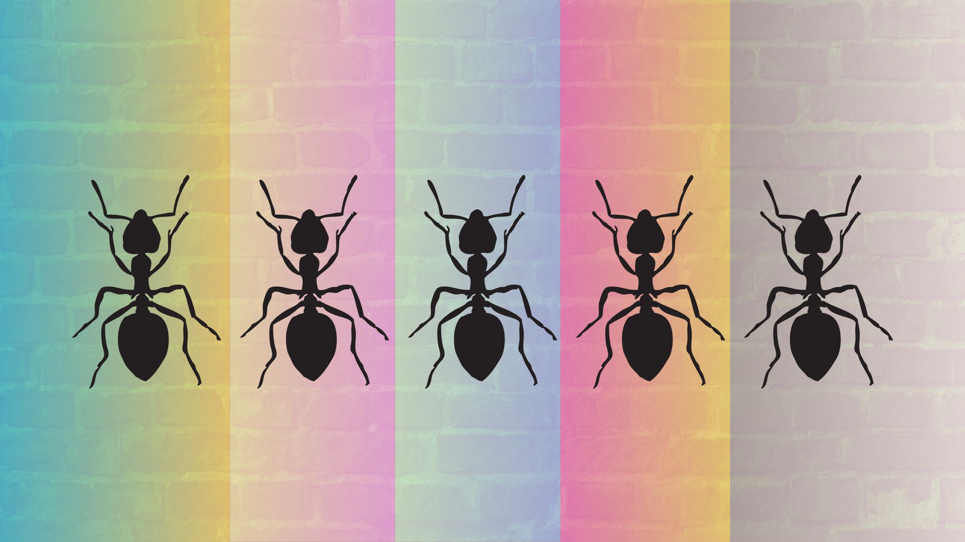 The ants are back in town: Here's how to keep them out of your home ...