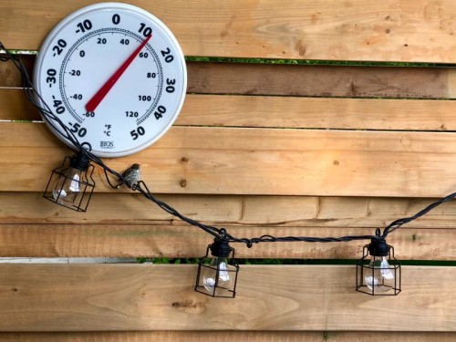 Most Accurate Outdoor Thermometers for 2023 - Garden Gate Top Picks