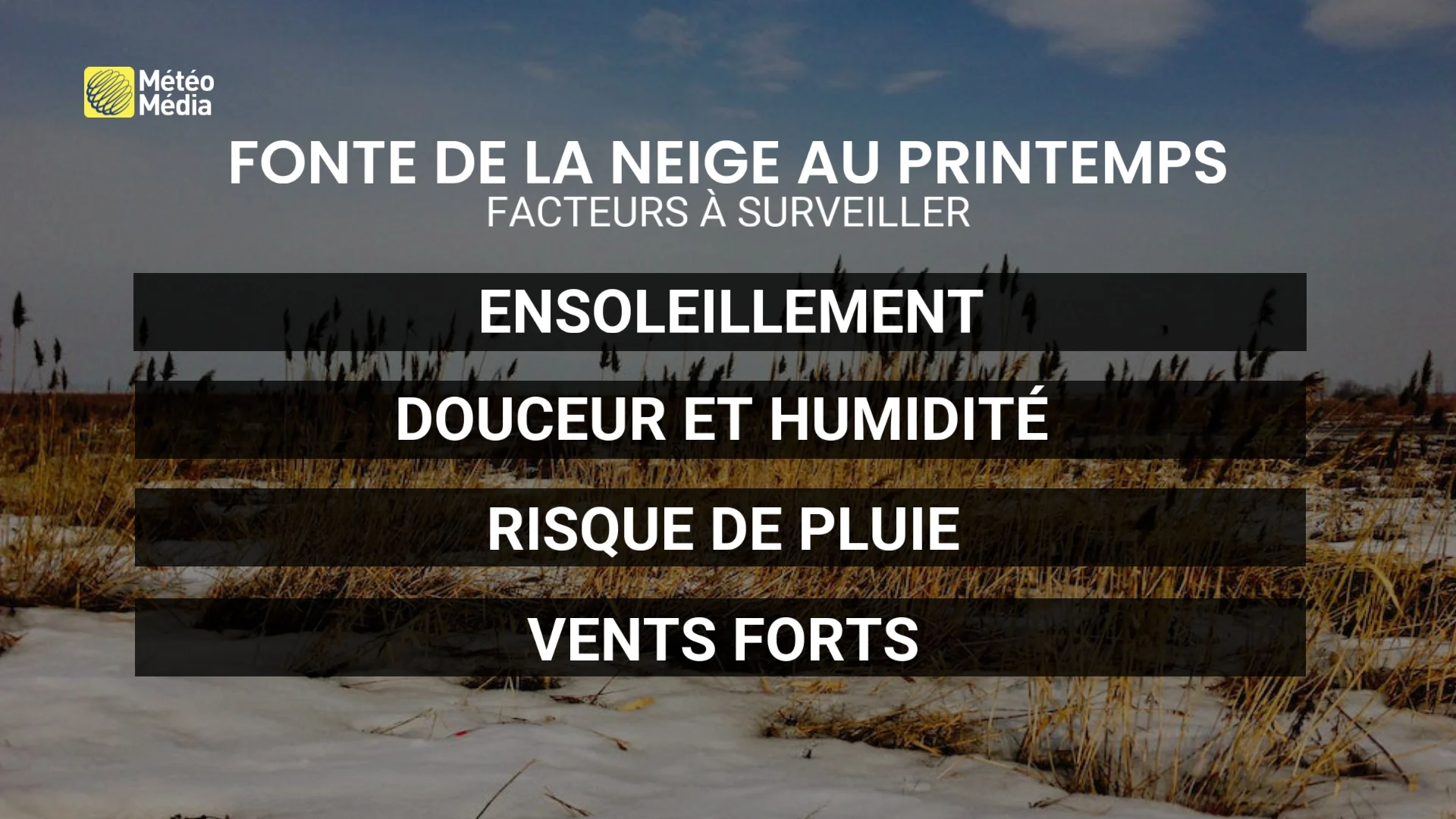 NEIGEREJ2
