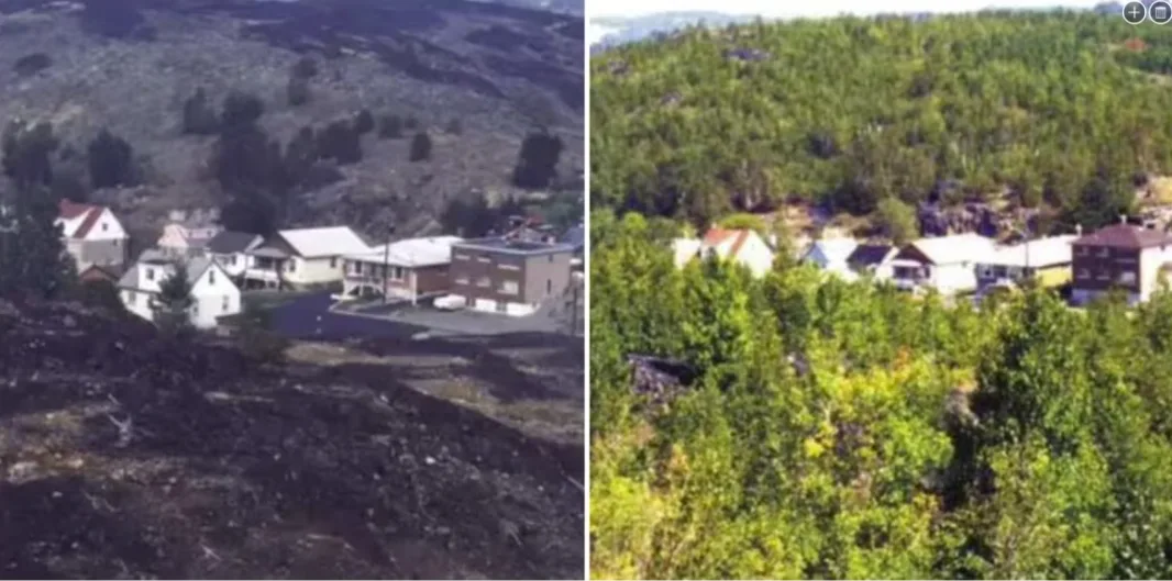 CBC: These photos taken of the same area of Sudbury at different points in time show how far the city's landscape has come thanks to regreening efforts. (Submitted by Laurentian University)