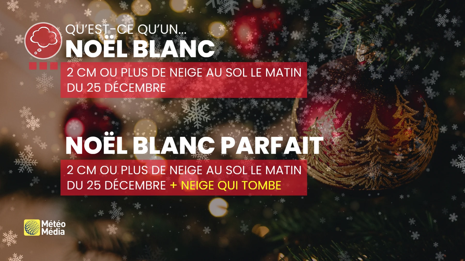 NOEL BLANC 1