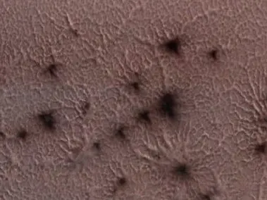 Des araignées sur le sol martien