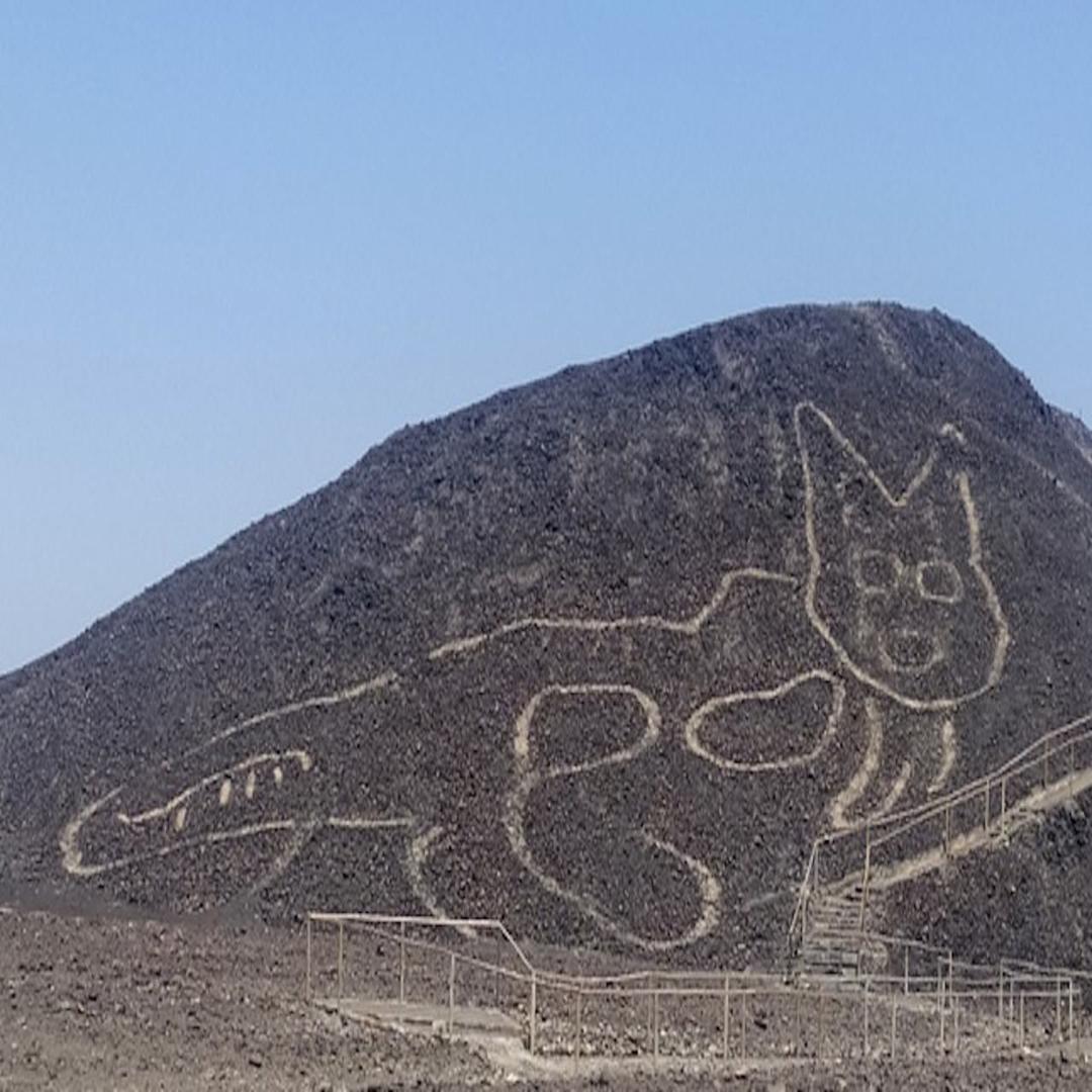 Ancient 2,000-year-old cat geoglyph uncovered in Peru desert - The