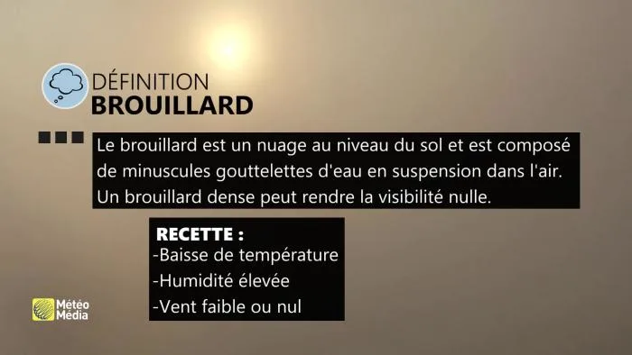 BROUILLARD2